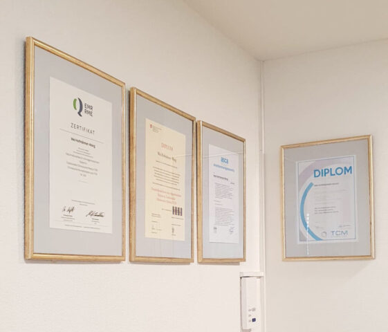 TCM Wang Heilpraxis in Baden